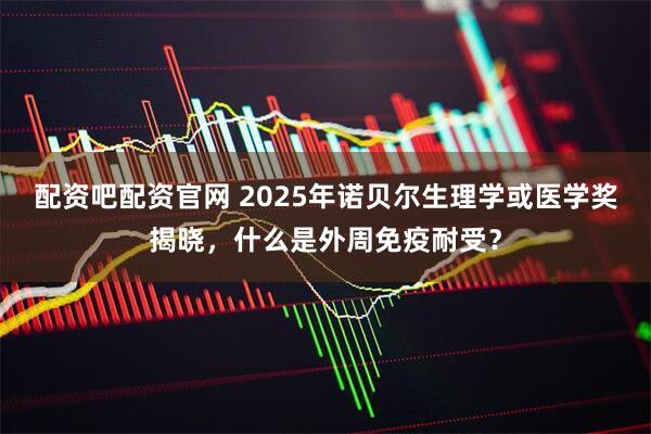 配资吧配资官网 2025年诺贝尔生理学或医学奖揭晓，什么是外周免疫耐受？