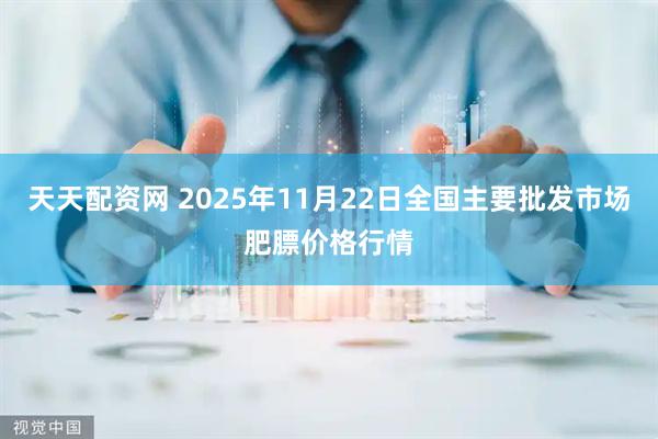 天天配资网 2025年11月22日全国主要批发市场肥膘价格行情