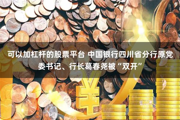 可以加杠杆的股票平台 中国银行四川省分行原党委书记、行长葛春尧被“双开”