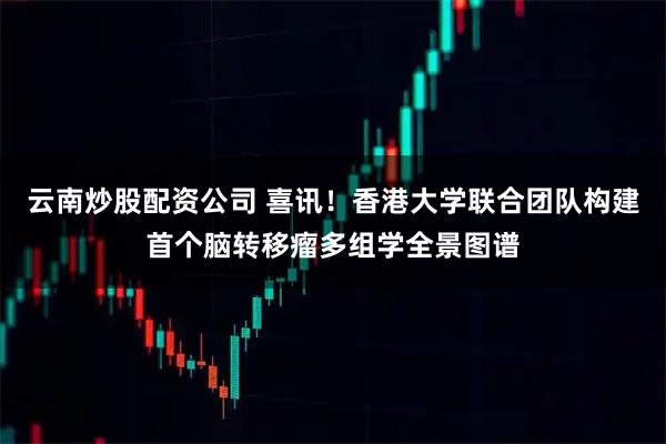 云南炒股配资公司 喜讯！香港大学联合团队构建首个脑转移瘤多组学全景图谱
